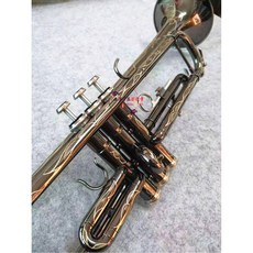 트럼펫 트럼펫 입문용 TR 16C4 연습용 실버 골드 슬라이드, 8335GS 연주급 블랙 엠보싱+가방, 1개