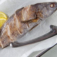 녹동수산 자연산 반건조 반찬용 대민어3미(미당30~32cm내외), 1개