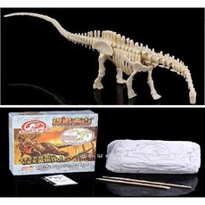 DIY玩具 挖掘 恐龍化石 再現拼裝皮諾考古 模型 兒童玩具, 1個, 2號始祖鳥