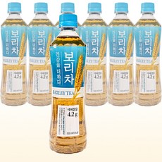 롯데칠성 건강을 더하다 보리차 500ml x 6개입(pet), 6개