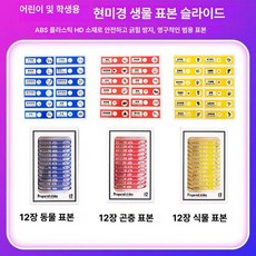 프레파라트 48종 표본 실험도구 식물 현미경 체험, 36장 곤충, 기본 색상