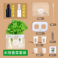 DIY科學種子種植玩具，透明盒體幼兒園水培生菜觀察套裝，兒童無土小盆栽，水培植物科學實驗, 1個, 水培香菜