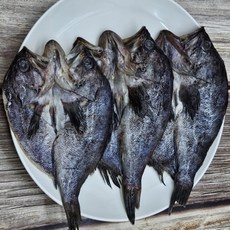 반건조 우럭 6미, 1