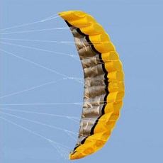 5미터 스포츠 트보딩 듀얼 라인 트서핑 하이 컨트롤 서프보드, 06 Random Color