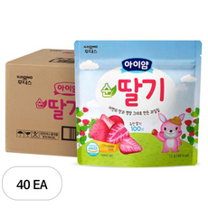 아이얌 과일칩, 12g, 40개