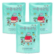 꼬숩네 기름기없이 담백 고소한 무농약 연근칩 3팩, 3개, 25g