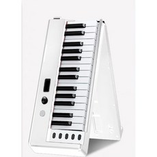 61鍵折疊琴，輕巧便攜，標準琴鍵，多種音色，環保材質, 白色, 1個