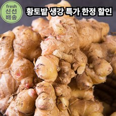 [농산물1위] 신선 충남 서산 국산 황토밭 생강 향이좋은생강 Seosan Red Soil Ginger, 2박스, 1kg