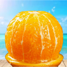 (하루딱50박스만) 프리미엄 고당도 블랙라벨오렌지 대과, 1박스, 2.3kg (10과)