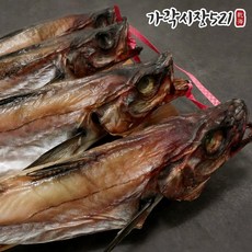 가락시장521 깔끔하게 손질된 반건조 코다리 특대 (45~49cm) 명태, 2미