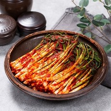 기타 [나리찬] 국내산 진 파김치 3kg, 1박스