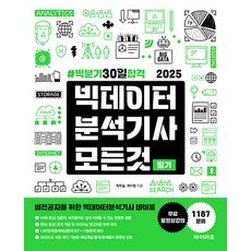 (아이리포/최우슬 외) 빅분기30일합격 2025 빅데이터분석기사, 4권 분철 - 분철시 주의