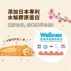 Petroyal HeroMama 阿嬤養的機能手切肉乾 30g 貓零食 貓肉乾 四種口味, 1個, 汪喵原味益生菌*2包