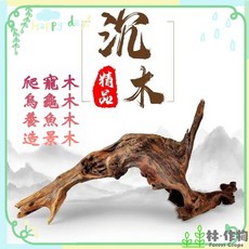 林·作物 魚缸造景沉木 水族箱爬寵裝飾木 安全材質 25-35公分, 1個