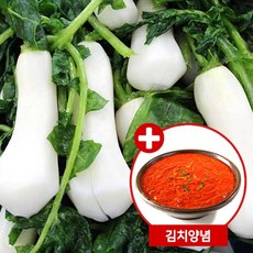 [전라도광주김치] 절임알타리무9kg + 양념3kg, 없음