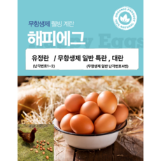 무항생제 달걀 1+등급란 (특란), 1개, 40구