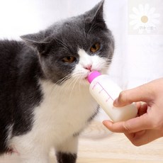 조은데이 애견 애묘 젖병세트 애견젖병 강아지초유 애견수유용품, 150ml
