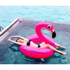 275CM 獨角獸游泳圈 彩虹馬造型泳圈 大型泳圈 12H出貨, 1個, 120CM火焰鳥(中空泳圈型)