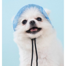 Warmth 강아지 모자 강아지 썬캡 고양이 모자 안벗겨지는 애견모자, 1개, Blue
