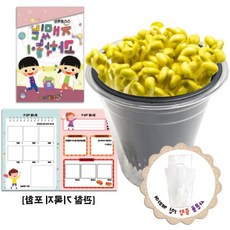벨모라 콩나물 키우기 관찰기록지포함 콩나물키우기키트 어린이만들기키트 diy만들기키트 콩나물키우기