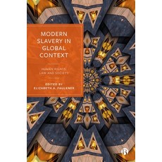 (영문도서) Modern Slavery in Global Context: Human Rights Law and Society Paperback, Bristol University Press, English, 9781529224719