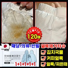일본기술 [1+1+1+1+1] 패딩 얼룩 제거 화장품 지우는 물티슈 의류 얼룩 제거제 패딩 오염 김치 국물 기름 얼룩 제거 패딩 크리너 휴대용, 10개, 12개입