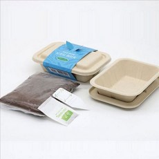 식물 보리 새싹 키우기 세트 새싹 재배 키트 화분 밀싹 dok+46848qR, 본상품