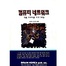 컴퓨터 네트워크, 브레인코리아