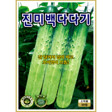KS종묘 진미백다다기 오이 씨앗 50립 다수확 아삭한 오이종자 ks, 1개