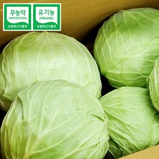 [울팜] 아삭 달달 국내산 친환경 양배추 무농약 유기농 제주 무안 밀양, 3kg, 1박스