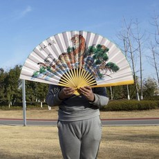 多规格超大扇子挂墙客厅装饰扇中国风工艺扇绢布婚纱道具摄影单面, 打开88cm 白布老虎