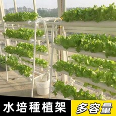 水耕設備 水培種植架 水培種菜機 陽台無土栽培 家庭式 小型生菜 青菜水耕栽培機, 1個, 梯形四管(傳統套餐) 插電且無定時器,中等