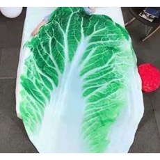 재밌는 인테리어 선물 수박 배추 피자 또띠아 이불 1. 직경 150cm