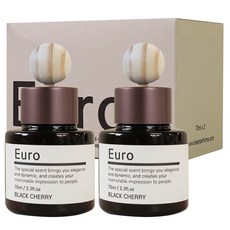 유로 차량용 디퓨저 70ml x 2개입+실리콘패드2+우드볼2, 화이트부케, 1개