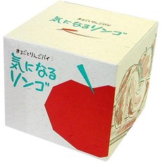 라구노 사사키 라구누 애플 파이 350g x 1개 도쿄 서양 과자