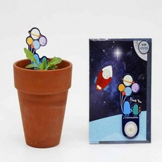 씨앗카드 민들레 키우기 쉬운식물 꽃씨앗, 상세페이지 참조