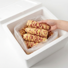 혜성식품 홍찰 옥수수 맛있는 냉동 찰옥수수, 20개