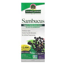 Nature's Answer Sambucus Elderberry 앨더베리 240ml, 1개