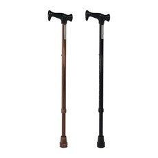 케어맥스 2단 노인 어르신 지팡이 이단지팡이 CW-MSTB, 블랙, 1개