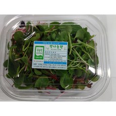 베이비 어린잎채소 1팩(50g), 1개