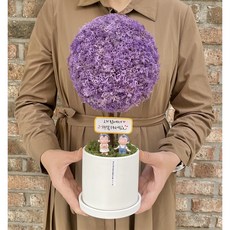 플라워드림 35cm 대형 스칸디아모스 토피어리 화분, 1개, 퍼플