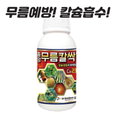 비료나라 I 중앙프라자 무름칼싹 500 장마철 무름예방 칼슘흡수 장해해소 면역세포 활성화 보존성증가 생리장애해소 식물 칼슘제 텃밭, 500ml, 1개