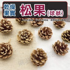 銅板價幼教福利社 松果乾果組，聖誕花圈DIY材料包，乾燥果實橡實橡果，拍照道具聖誕節裝飾, 1個, 球狀松果(3~4cm)