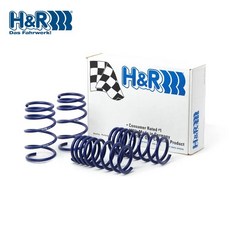 H&R 短彈簧組 適用 SUZUKI BALENO, 1個