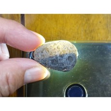 §能量礦石§ Saffordite Arizona亞利桑那隕石 14.97g 天狼星 美國隕石 寵物能量石, 1個