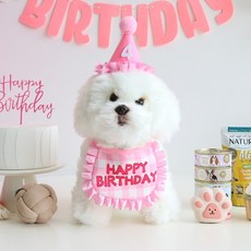 이벤트홀릭 강아지 고양이 생일파티용품 케이프 숫자고깔 세트, 핑크, 1세트