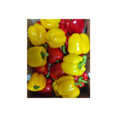 [국내산] 파프리카 피망 노랑 빨강 미니 못난이 파프리카, 1개, 1kg