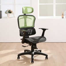 LOGIS 電腦椅 全網椅 彩網辦公椅 主管椅 事務椅 人體工學椅 DG820, 綠