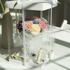 라운드오프 조화 나루플랜트 센터피스 용돈박스, 믹스카네이션, 1개