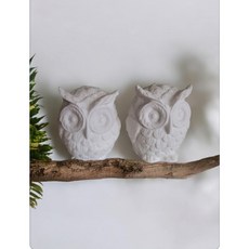 부엉이 석고 방향제2개 와 자개 케이스, 샤인머스켓, 녹색